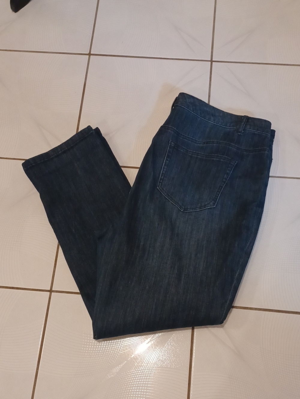 2/$50 New Dark Wash Blue Jeans With Black Velour Studded Floral Design - Size 20